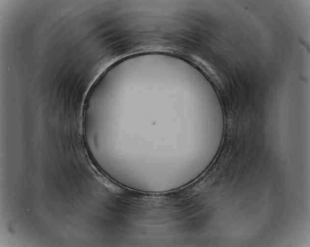 X0000091171236200709060927