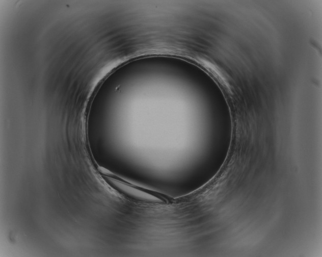 X0000091171238200709060927