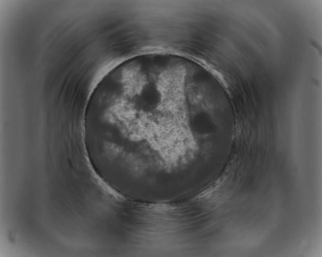 X0000091171239200709060927