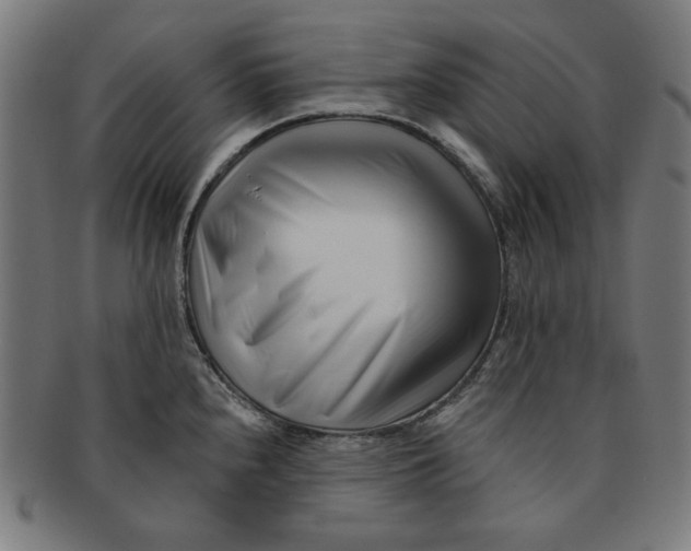 X0000091171240200709060927