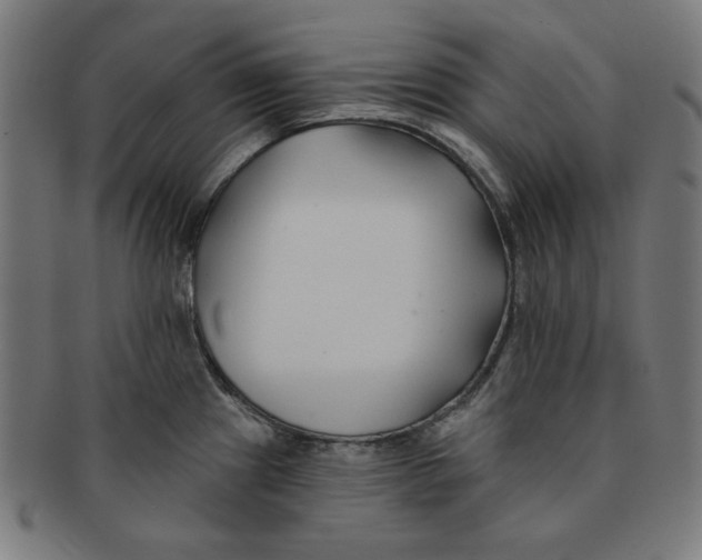 X0000091171241200709060927