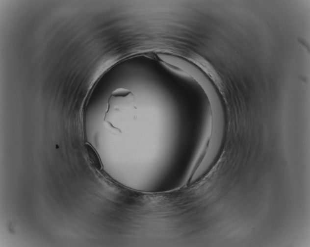 X0000091171242200709060927