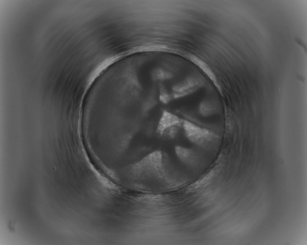 X0000091171245200709060927