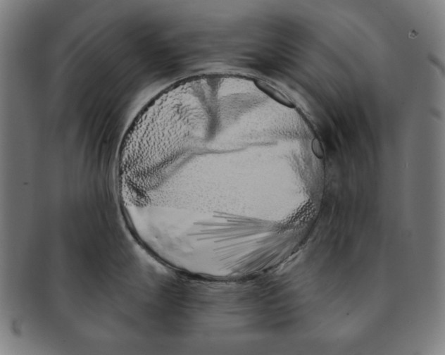 X0000091171247200709060927