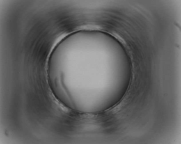 X0000091171248200709060927