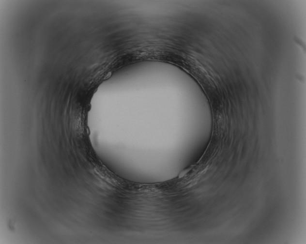 X0000091171250200709060926