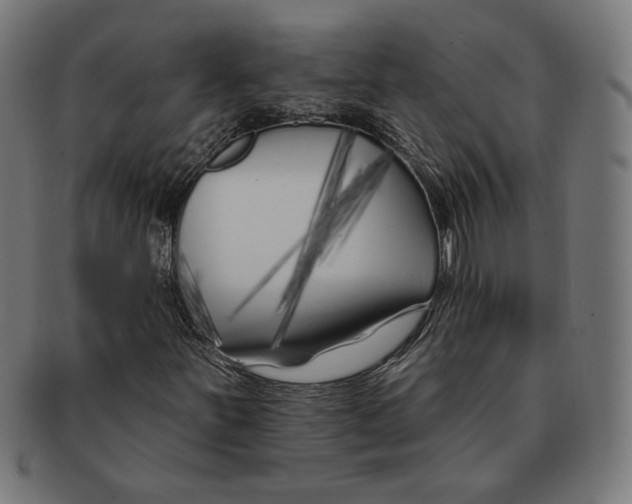 X0000091171251200709060926