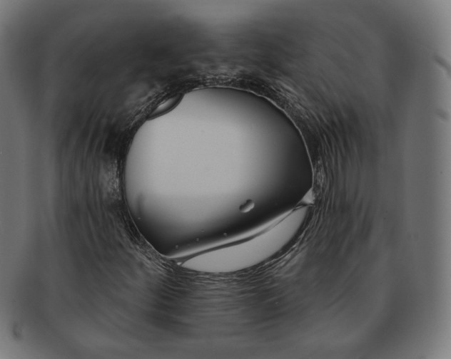 X0000091171252200709060926