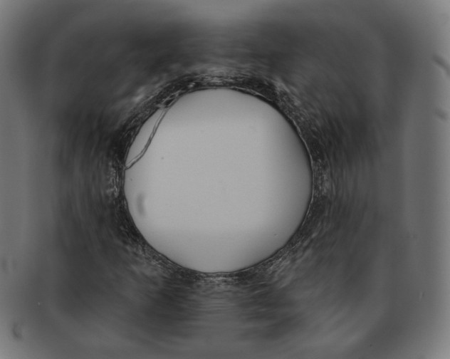 X0000091171253200709060926