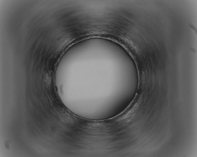 X0000091171257200709060926