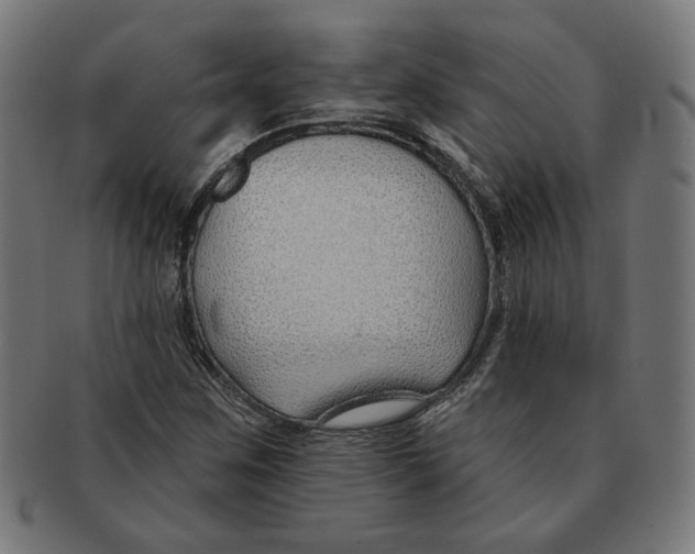 X0000091171259200709060926