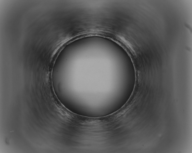 X0000091171260200709060926