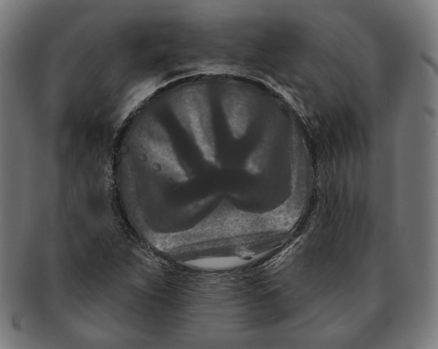 X0000091171263200709060926