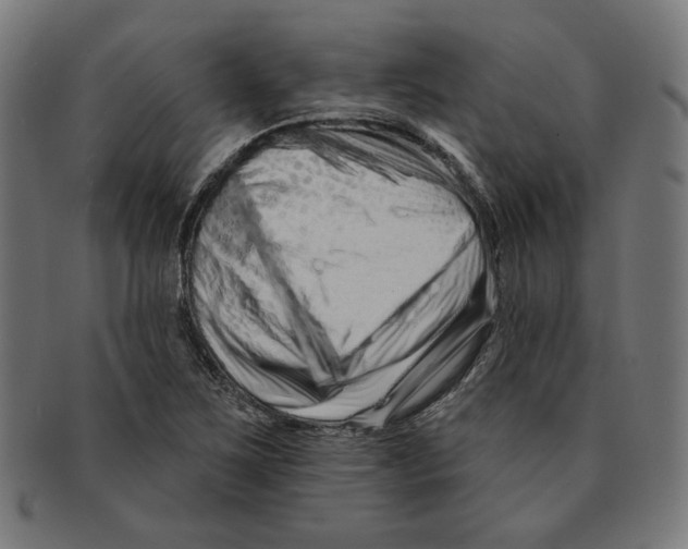 X0000091171267200709060926