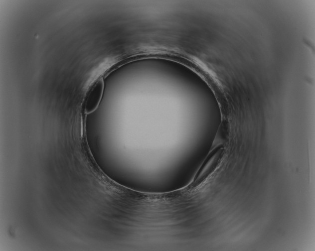 X0000091171269200709060926