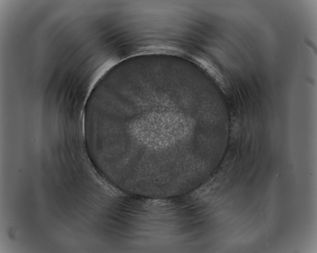 X0000091171275200709060926