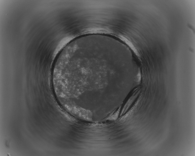 X0000091171277200709060926