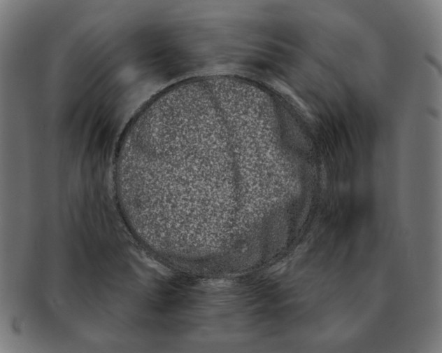 X0000091171278200709060926