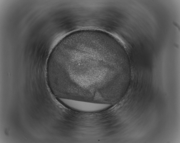 X0000091171279200709060926