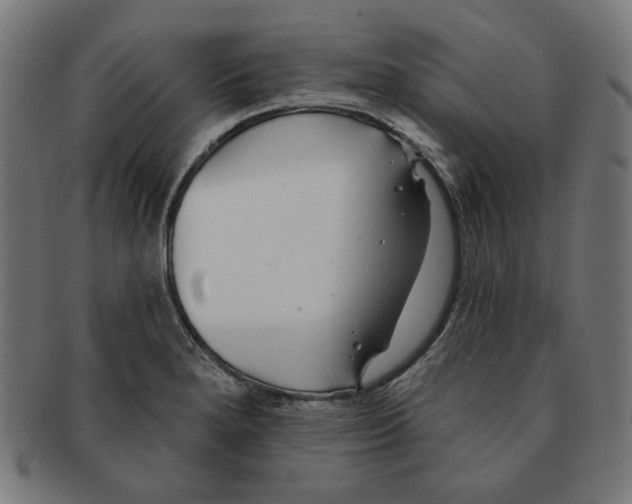 X0000091171280200709060926