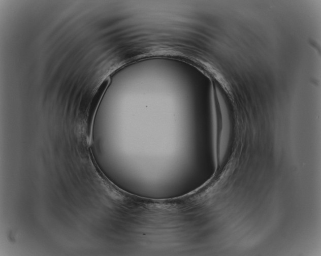 X0000091171281200709060926