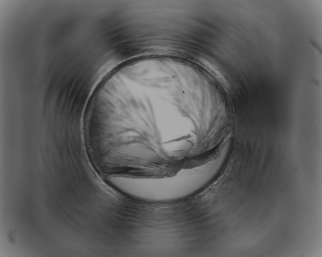 X0000091171283200709060926