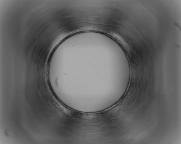 X0000091171286200709060926