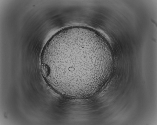 X0000091171287200709060926