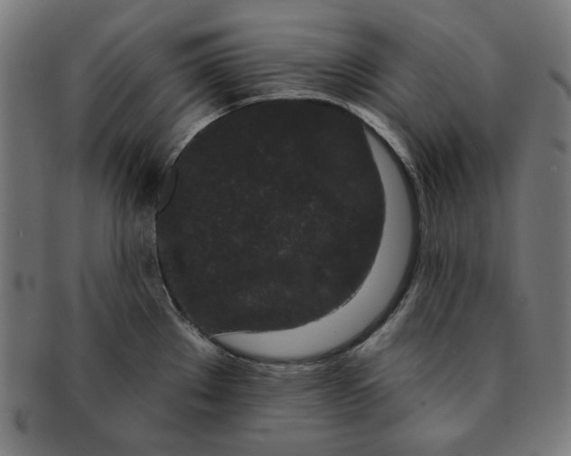 X0000091171289200709060926