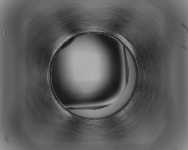 X0000091171293200709060926