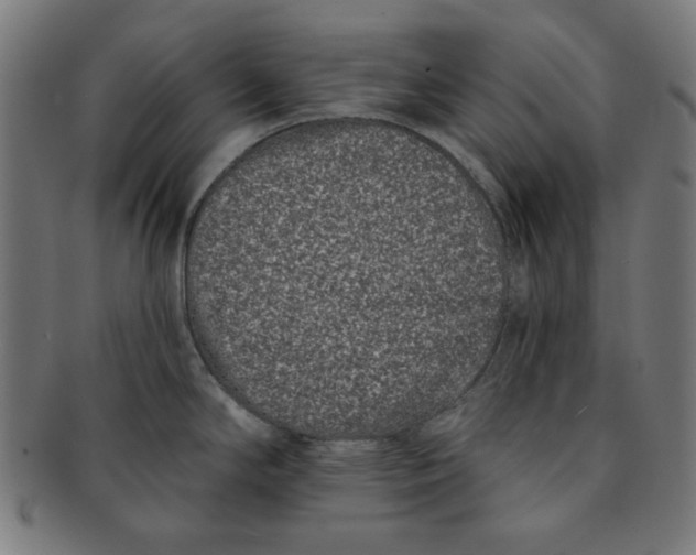 X0000091171294200709060926