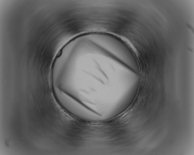 X0000091171295200709060926