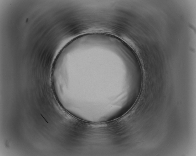 X0000091171296200709060926