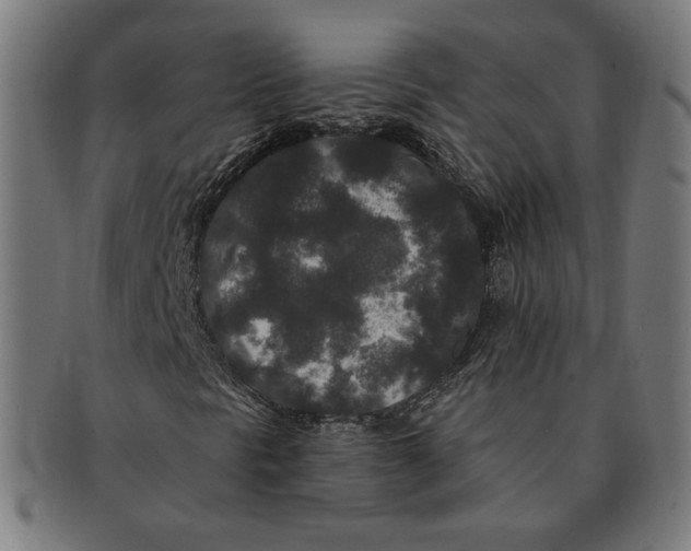 X0000091171297200709060925