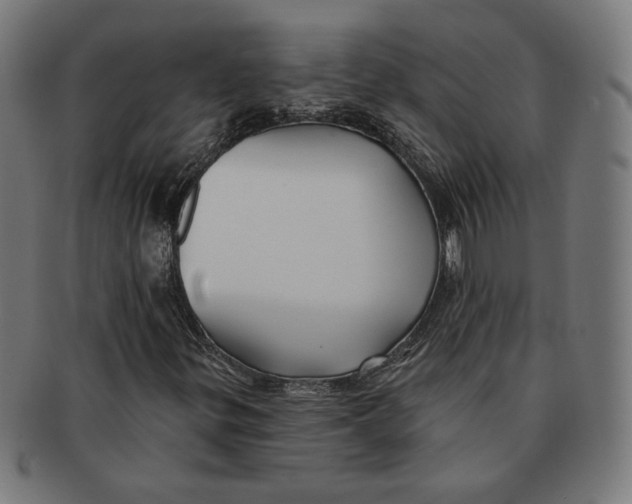 X0000091171299200709060925