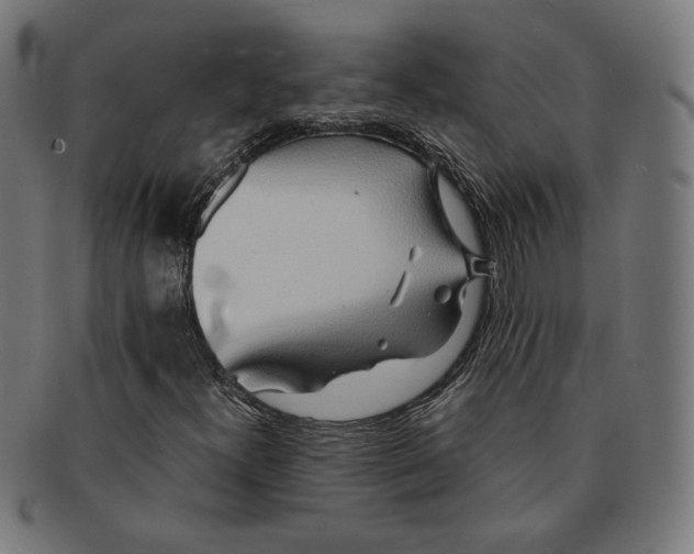 X0000091171300200709060925