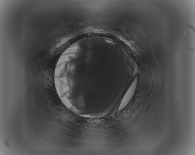 X0000091171303200709060925