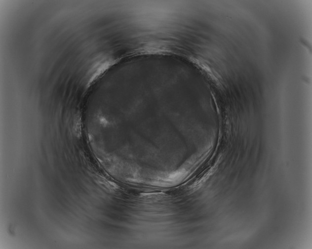 X0000091171306200709060925