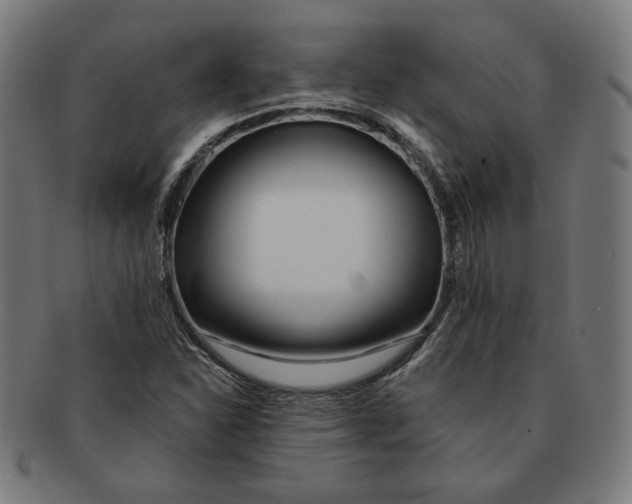 X0000091171310200709060925