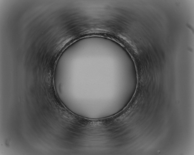 X0000091171313200709060925