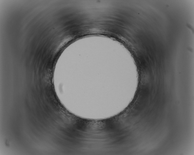 X0000091171314200709060925