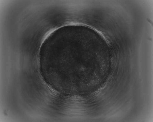 X0000091171319200709060925