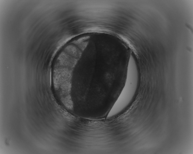 X0000091171323200709060925