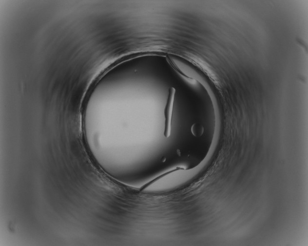 X0000091171324200709060925