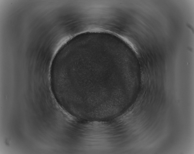 X0000091171327200709060926