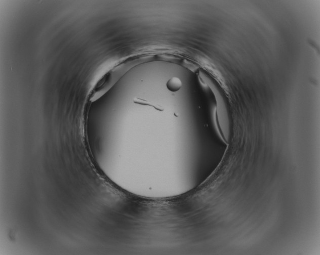 X0000091171328200709060926