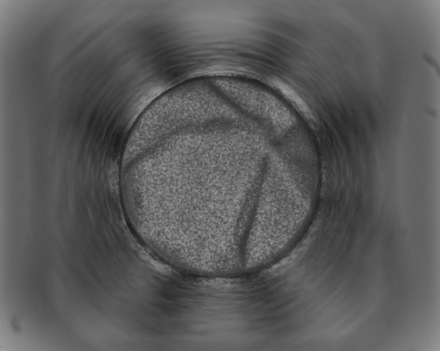 X0000091171329200709060926