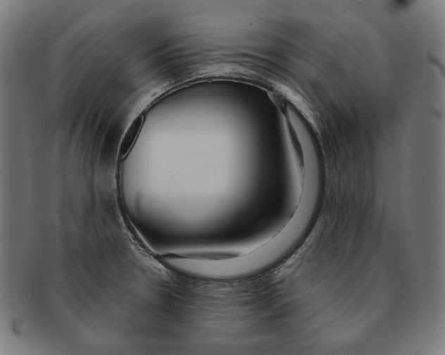 X0000091171330200709060926