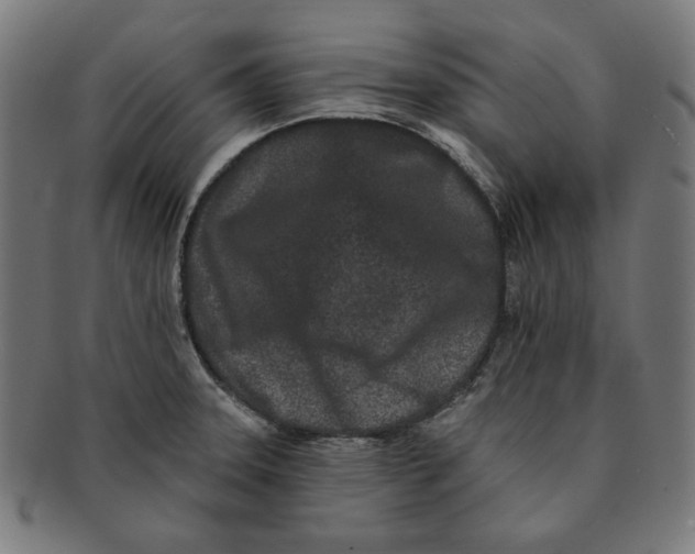 X0000091171331200709060926