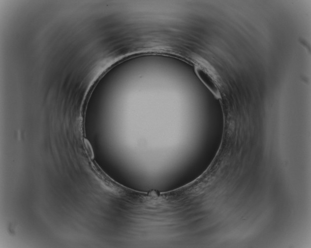 X0000091171332200709060926